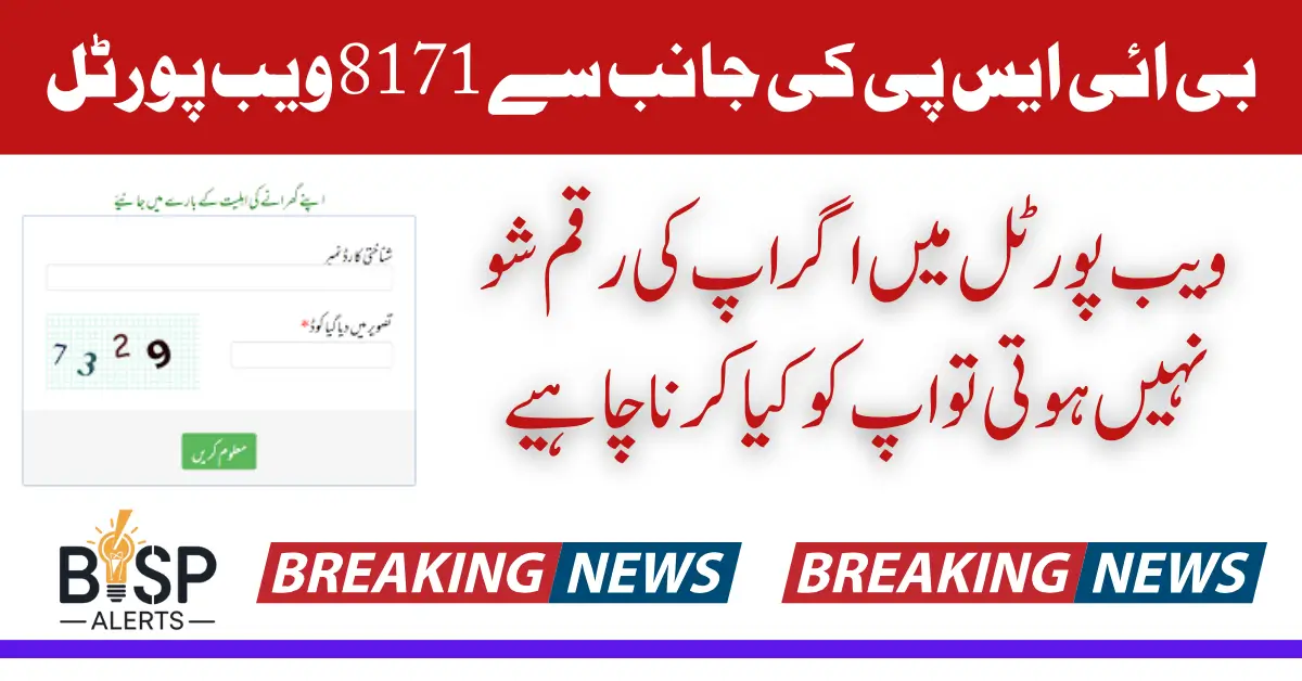 8171 BISP Web Portal Errors Explained Why Your Payment Was Not Received Full Details Inside