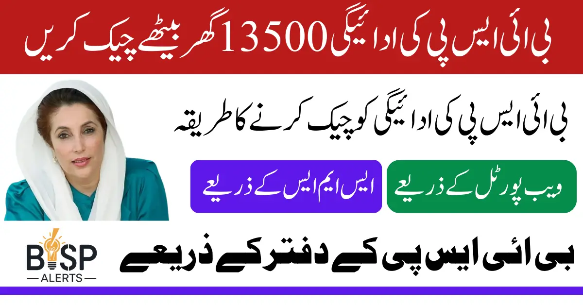 BISP 8171 Payment 13500 April 2025 Check Status Online Know Complete Details