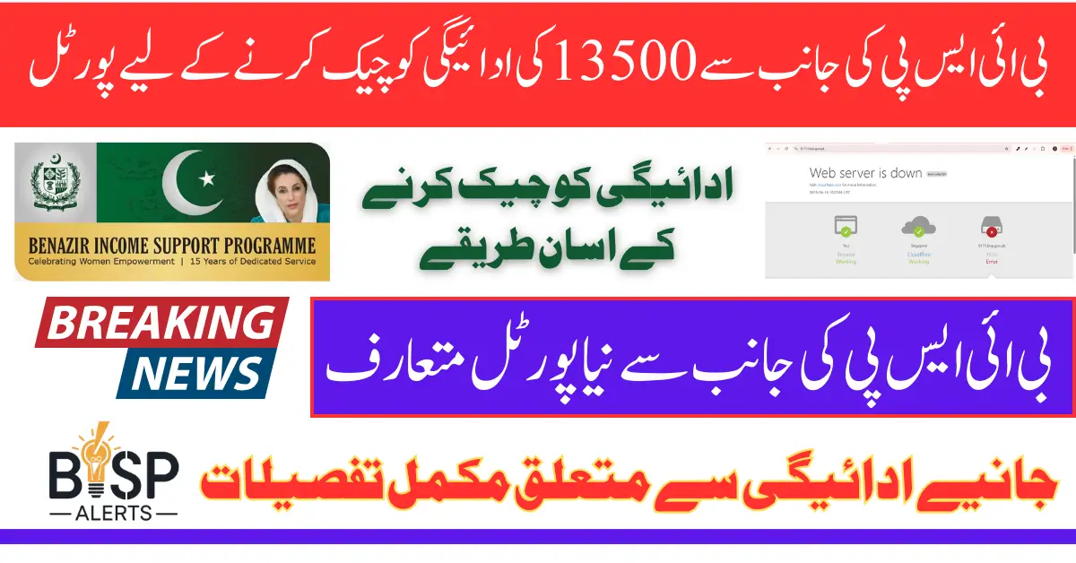 BISP 8171 Portal For Check 13500 Payment In April 2025 Know Complete Details