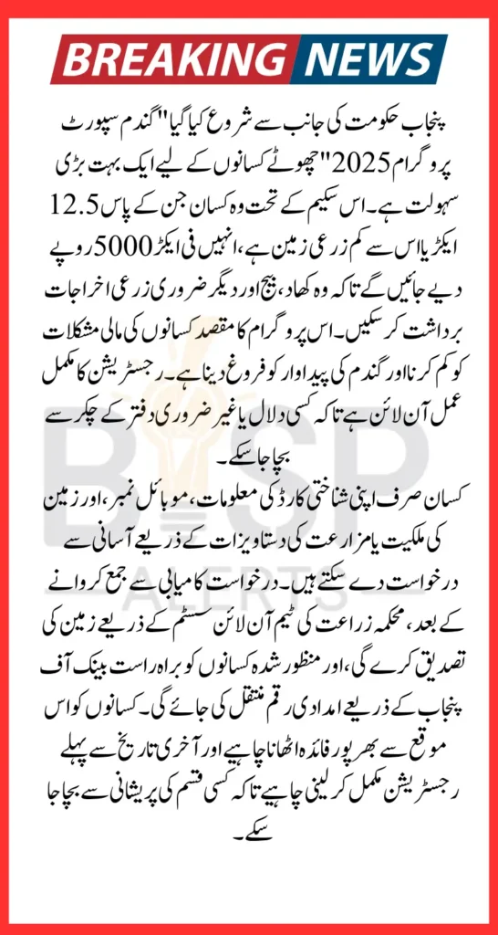 CM Punjab Wheat Support Program 2025 Complete Online Registration And Get 5000 Per Acer