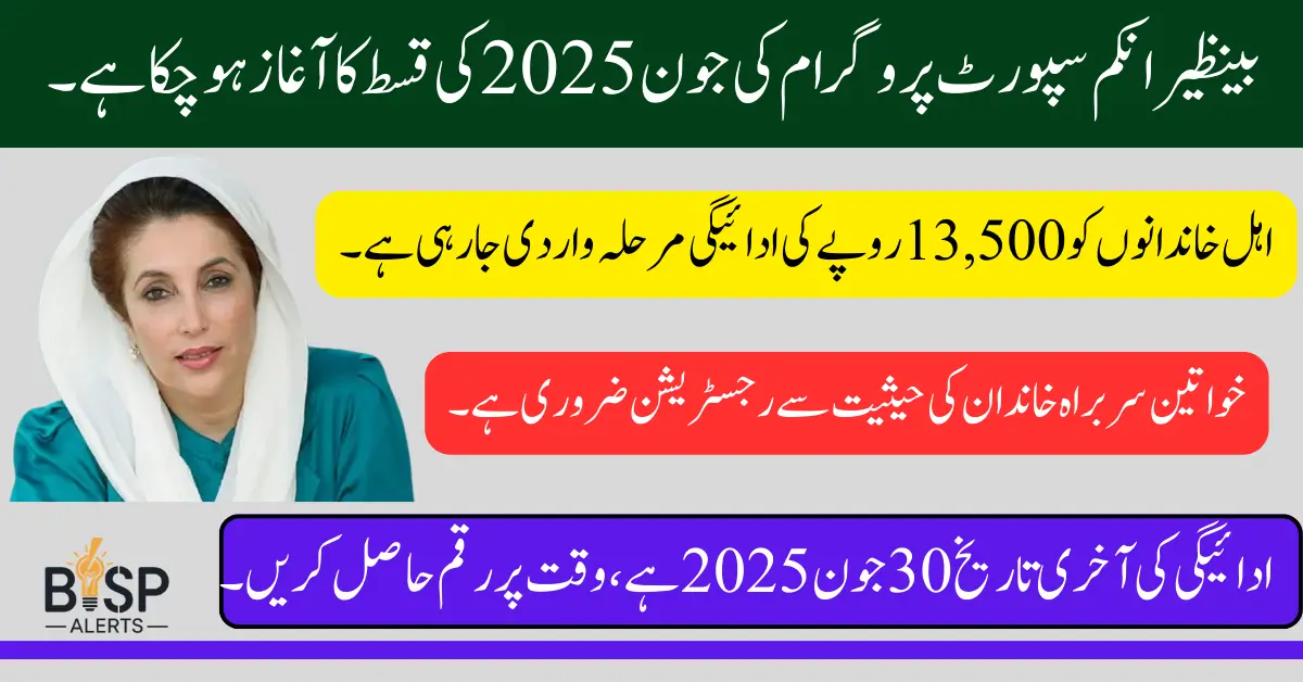 BISP 8171 June 2025 Payment Check by CNIC Using Up to Date Method