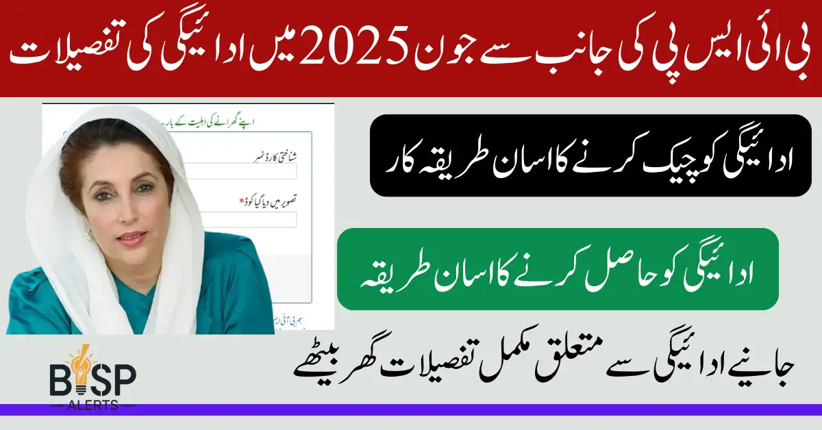 BISP 8171 Result Check By CNIC Using Online And Offline Method For June 13500 Payment
