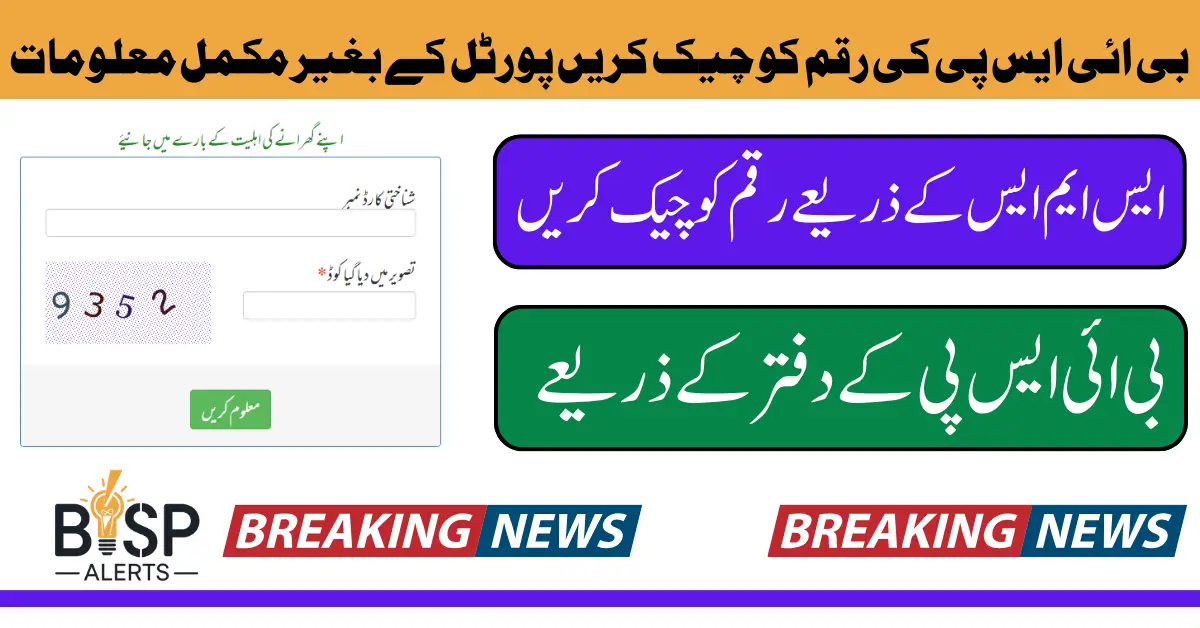 BISP Payment Check Without Web Portal Use Alternative Method Know Complete Details