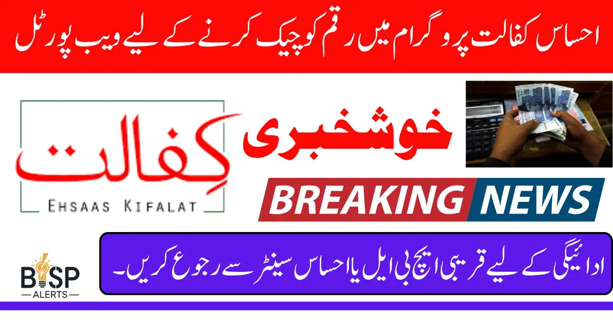 Ehsaas Kafalat Payment Check Through 8171 Portal And SMS Know Full Details Step By Step