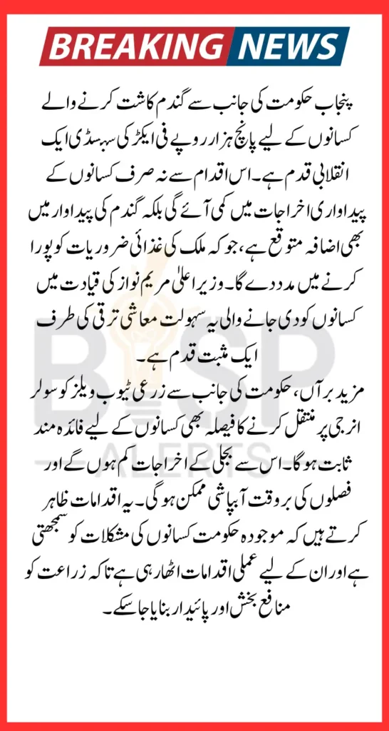 Punjab CM Approves PKR 5000 Per Acre Wheat Subsidy For 600k Farmers