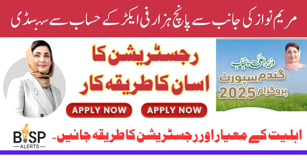 Punjab CM Approves PKR 5000 Per Acre Wheat Subsidy For 600k Farmers
