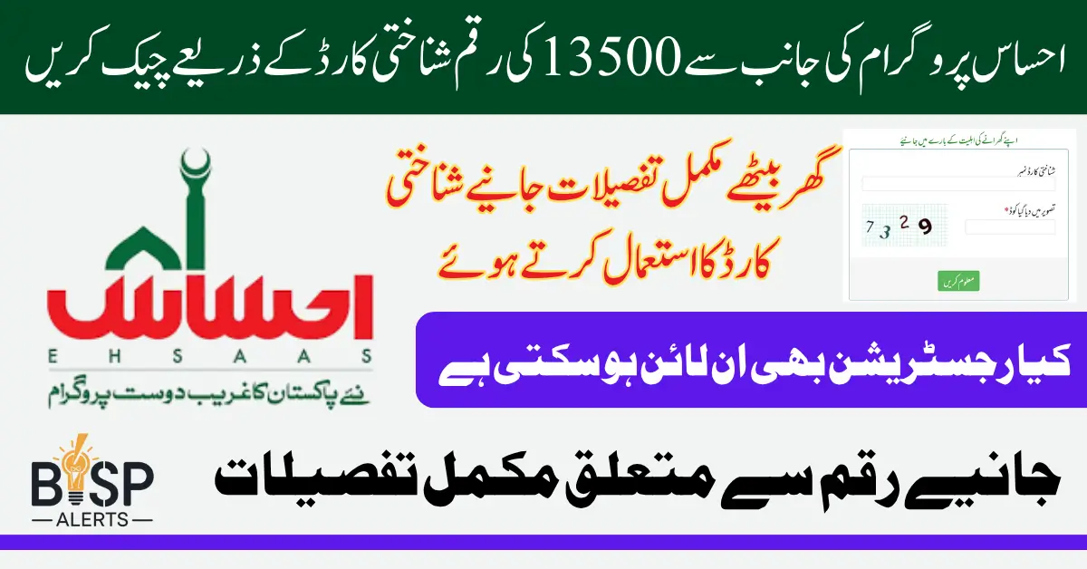 8171 Ehsaas Program Check CNIC Online After Web Portal Reopening June 2025