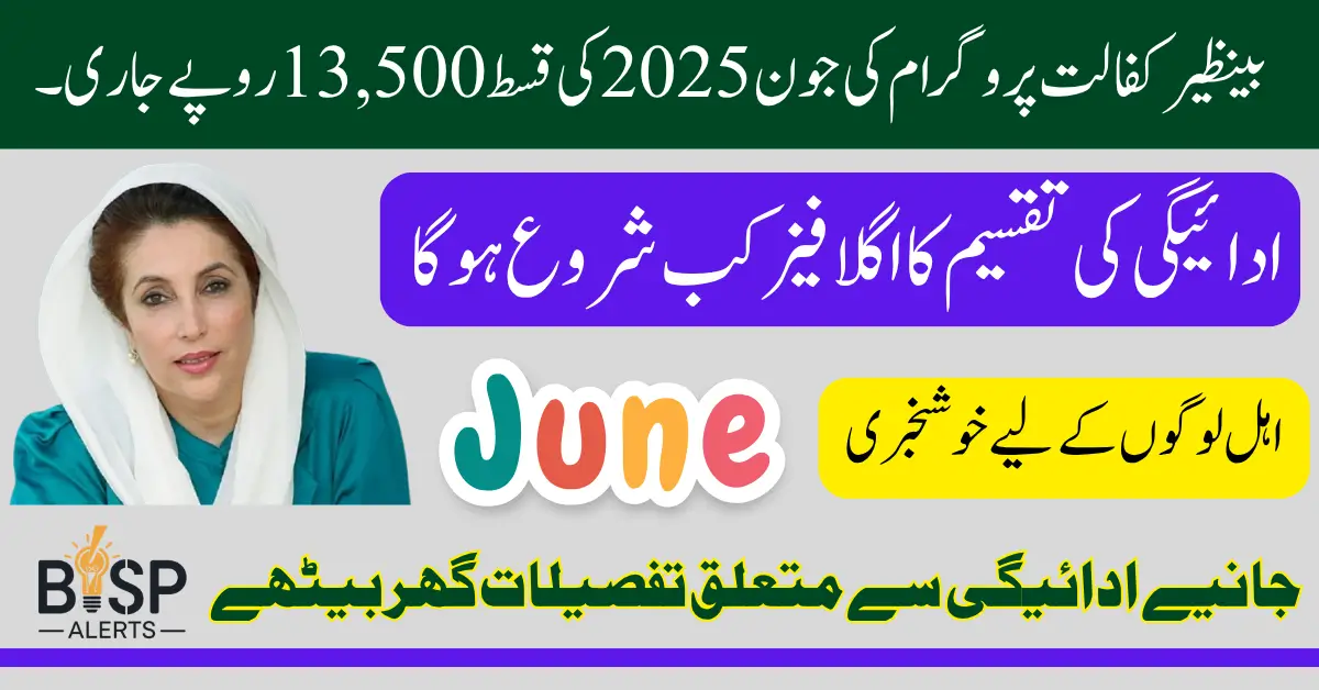 BISP Kafalat Payment Status June 2025 Check Via 8171 Web Portal And SMS Method