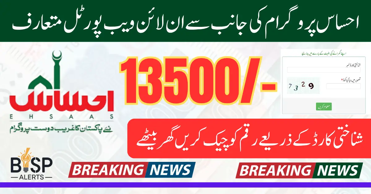 Ehsaas Program 8171 Web Portal Update To Check June 2025 Payment Using CNIC